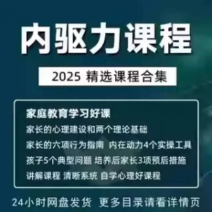 内驱力培训课程培养孩子自觉性提升内在亲子教育学习电子版资料-筠熙虚拟仓