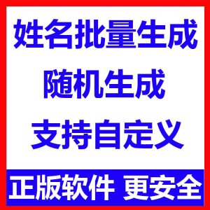 姓名批量生成工具 用户名随机不重复生成软件 可自定义-筠熙虚拟仓