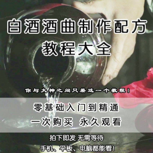 白酒酒曲制作配方教程酿酒技术秘方勾兑视频教学课程零基础学习-筠熙虚拟仓