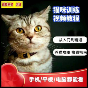猫咪训练+养猫攻略大全技巧秘诀自学教程课程视频-筠熙虚拟仓