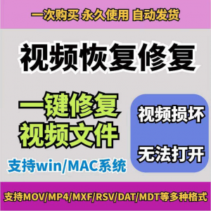 损坏MP4视频修复软件断电恢复工具短片导出摄像机视频文件修复-筠熙虚拟仓