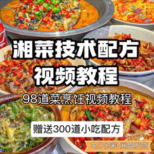 【0.01秒发】98道湘菜技术配方视频教程商用湖南菜炒菜特色小吃-筠熙虚拟仓
