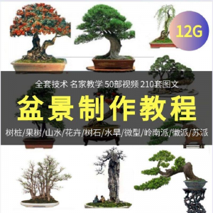 盆景制作技术视频教程工艺教学果树桩山水微型造型全套-筠熙虚拟仓