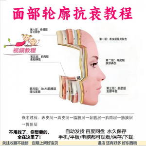美商课程面部轮廓抗衰美肤减龄变美视频教程形象管理内在美好气色-筠熙虚拟仓