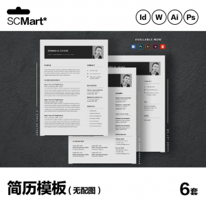 6套高级英文简历Word简历 ai psd设计师简历模板毕业生简历CV29-筠熙虚拟仓