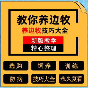 边牧训练方法教程边境牧羊犬驯养技术饲养喂养选购训犬技巧大全套-筠熙虚拟仓