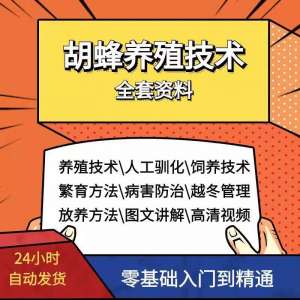 胡蜂养殖技术蜜蜂视频资料黄蜂黑盾怎样养胡蜂人工饲养教程大全-筠熙虚拟仓
