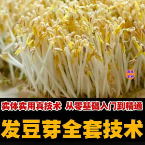 自学发豆芽技术资料豆芽加工制作方法教学 培育豆芽商用视频教程-筠熙虚拟仓