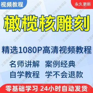 橄榄核雕刻视频学习教程新手自学零基础入门精通教学课程全集-筠熙虚拟仓
